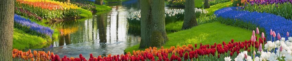 Tulip Time